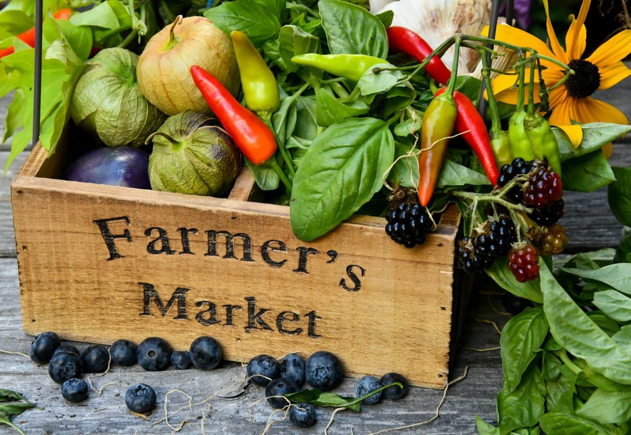 Top Farmers’ Markets in Tokyo for Organic and Local Produce