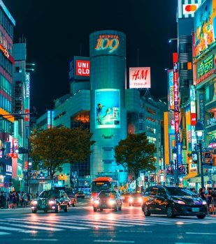 Freehold vs. Leasehold in Japan: What Foreign Buyers Need to Know