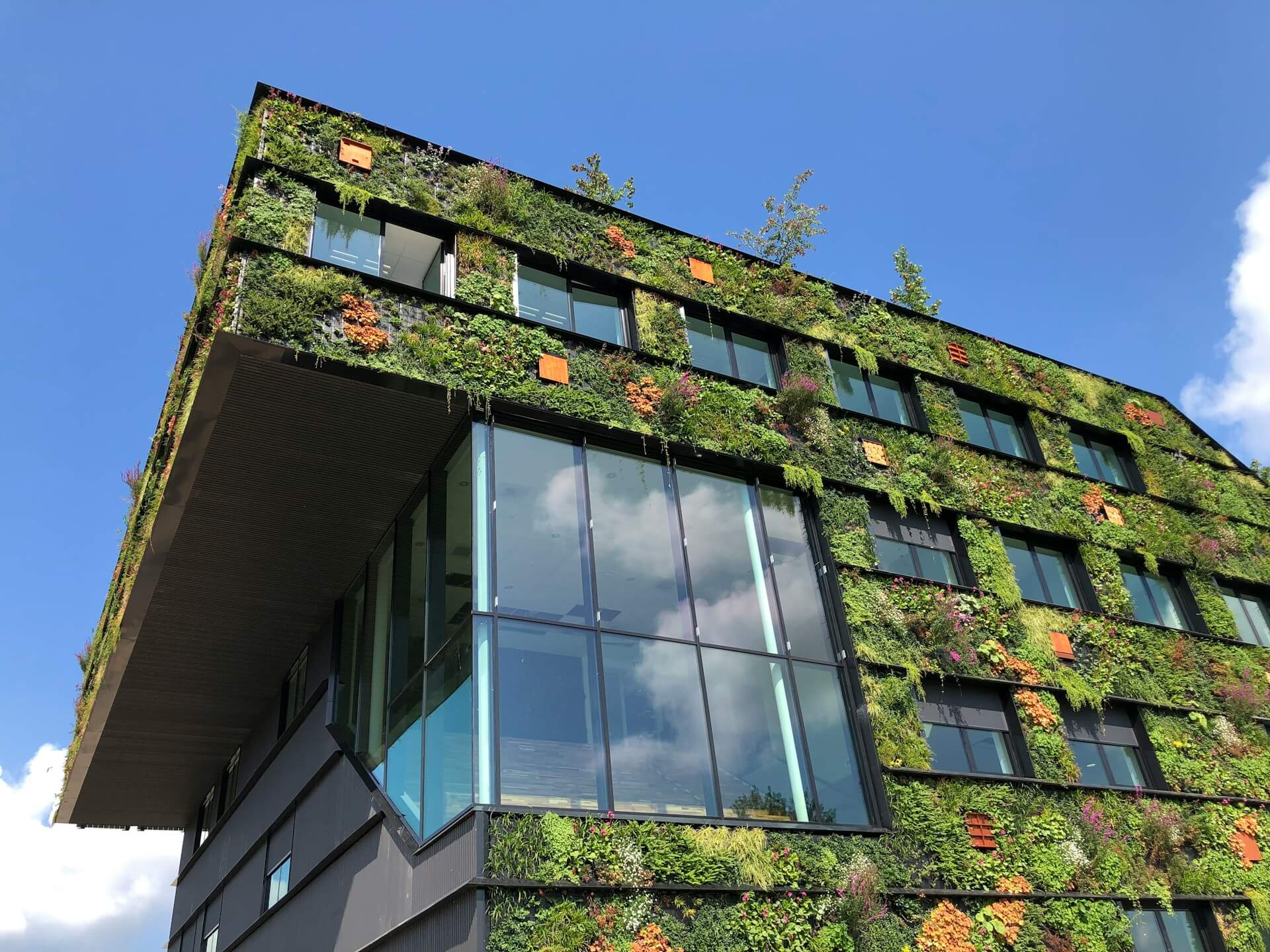 Sustainable Luxury Living in Tokyo: Green Buildings and Eco-Friendly Residences for Global Buyers