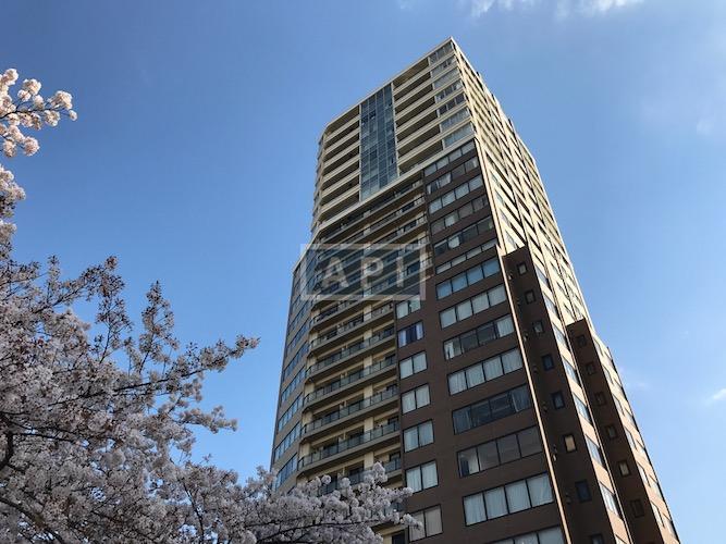 https://apartment-japan.tokyo/rent/wp-content/uploads/2014/08/IMG_7724.jpg