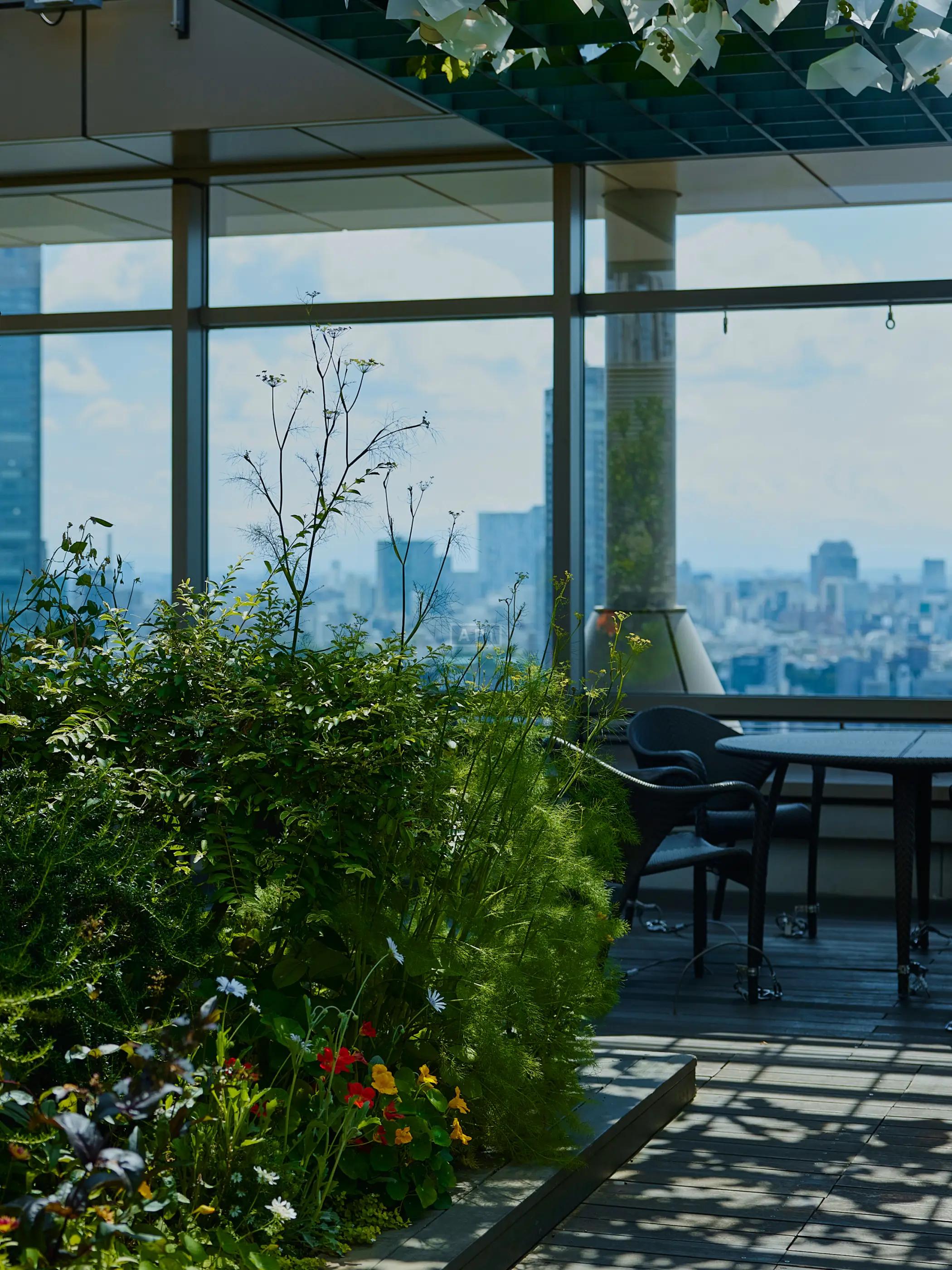 | AKASAKA TAMEIKE TOWER RESIDENCE Exterior photo 11