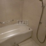  | PARK AXIS AOYAMA 1-CHOME TOWER Interior photo 12