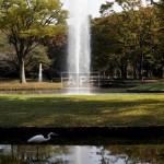Yoyogi Park | GROSVENOR PLACE KAMIZONOCHO Exterior photo 10