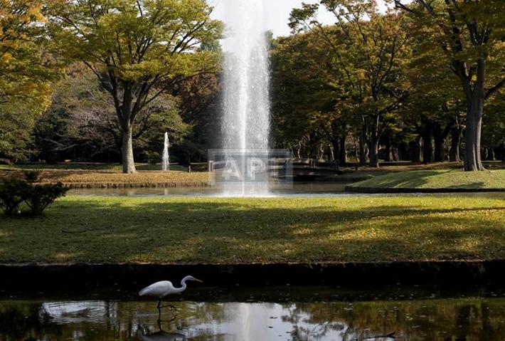 Yoyogi Park | GROSVENOR PLACE KAMIZONOCHO Exterior photo 10