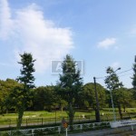 Yoyogi Park | GROSVENOR PLACE KAMIZONOCHO Exterior photo 15