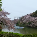Chidorigafuchi | CHIDORIGAFUCHI HOUSE Exterior photo 15