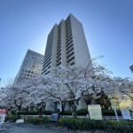  | SUMIDA RIVER SIDE TOWER Exterior photo 02