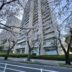  | SUMIDA RIVER SIDE TOWER Exterior photo 19