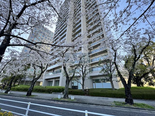  | SUMIDA RIVER SIDE TOWER Exterior photo 19