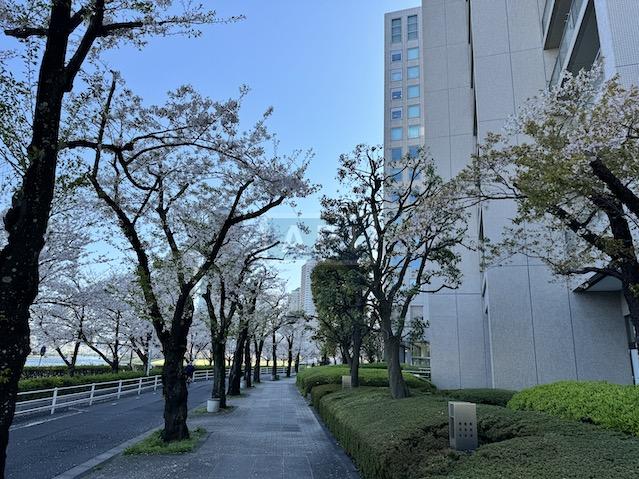 https://apartment-japan.tokyo/rent/wp-content/uploads/2015/01/IMG_5144.jpg