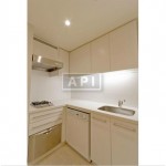 Kitchen | PARK AXIS AOYAMA 1-CHOME TOWER Interior photo 05