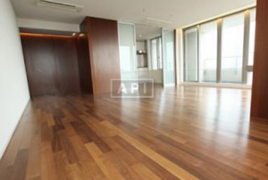 Living Dining  area