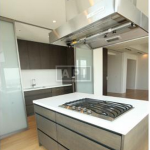 Dining Kitchen | PARK AXIS AOYAMA 1-CHOME TOWER Interior photo 05