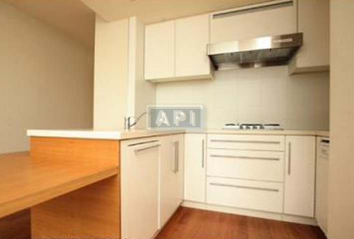Kitchen | PARK AXIS AOYAMA 1-CHOME TOWER Interior photo 05
