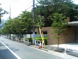 Road in front of building
