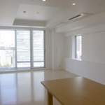  | AKASAKA THE RESIDENCE Interior photo 01