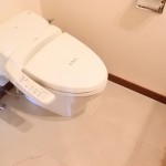  | AOYAMA DAIICHI MANSIONS Interior photo 17