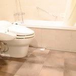  | AOYAMA DAIICHI MANSIONS Interior photo 16