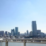  | AOYAMA DAIICHI MANSIONS Interior photo 19