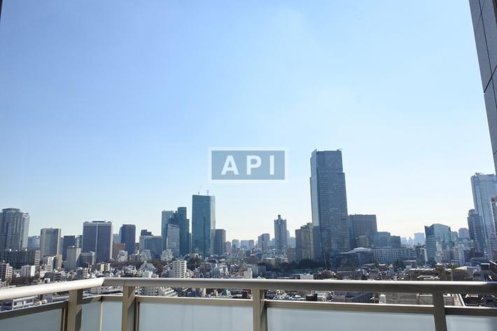  | AOYAMA DAIICHI MANSIONS Interior photo 19