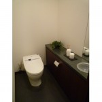  | NIBANCHO TERRACE Interior photo 07