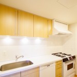  | IZUMI GARDEN RESIDENCE Interior photo 03