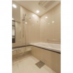  | PARK AXIS PREMIER MINAMI-AOYAMA Interior photo 07