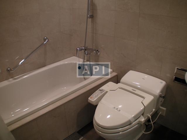  | AOYAMA DAIICHI MANSIONS Interior photo 05