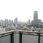  | AOYAMA DAIICHI MANSIONS Interior photo 06