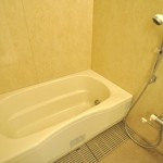  | ROPPONGI RESIDENCES Interior photo 09