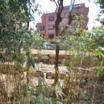  | ROPPONGI RESIDENCES Interior photo 12