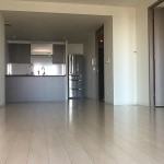  | TOKYO MIDTOWN RESIDENCES Interior photo 02