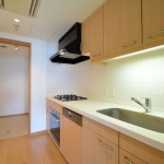  | AKASAKA TAMEIKE TOWER RESIDENCE Interior photo 04