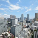  | AKASAKA TAMEIKE TOWER RESIDENCE Interior photo 10