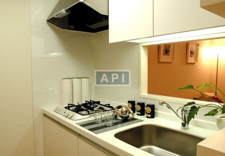  | RESIDIA NISHI-AZABU Interior photo 04