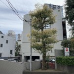  | SHIROKANE-SANKO ANCRE Exterior photo 02