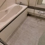  | AZABU DAI-ICHI MANSIONS Interior photo 15