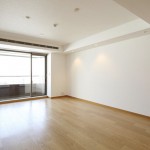  | AKASAKA TAMEIKE TOWER RESIDENCE Interior photo 01