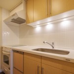  | IZUMI GARDEN RESIDENCE Interior photo 03