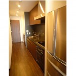  | NIBANCHO TERRACE Interior photo 04
