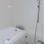  | TOKUGAWAYAMA PARK MANSION Interior photo 05