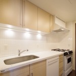  | IZUMI GARDEN RESIDENCE Interior photo 03