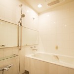  | IZUMI GARDEN RESIDENCE Interior photo 04