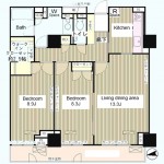 Layout