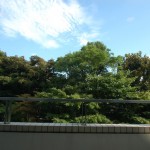  | NISHI-AZABU MANOR HOUSE Interior photo 05