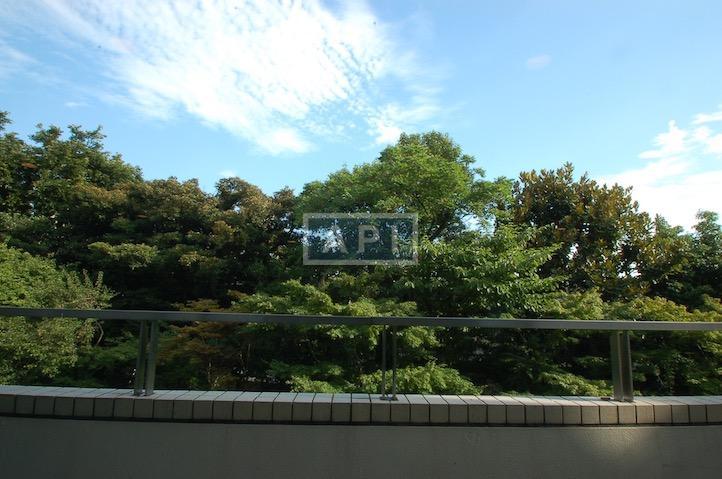  | NISHI-AZABU MANOR HOUSE Interior photo 05