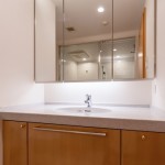  | IZUMI GARDEN RESIDENCE Interior photo 04