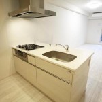  | MOTOAZABU RESIDENCE Interior photo 02