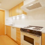  | IZUMI GARDEN RESIDENCE Interior photo 02