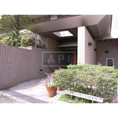  | PINE HILLS SETA Exterior photo 06